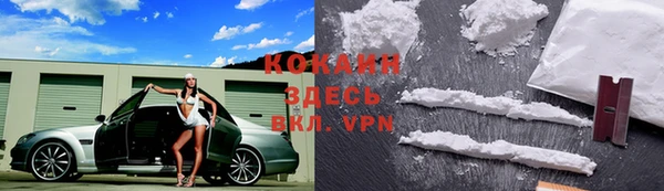 соль ск Алексин