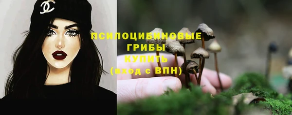 соль ск Алексин