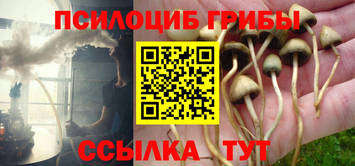 Галлюциногенные грибы ЛСД  Вход с VPN  Галлюциногенные грибы мицелий  Красноярск 